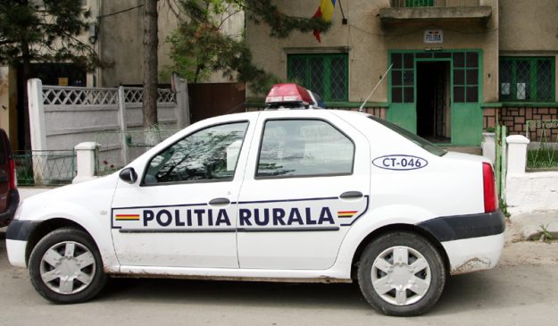 Barbat fara permis prins in timp ce transporta lemne furate prin Ileanda