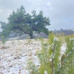In plina primavara ninsorile revin in Salaj Unde sunt asteptate sa cada fulgii de zapada
