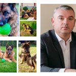 Cum devine un caine parte din familie Mesajul viceprimarului din Zalau de Ziua Internationala a Cainilor