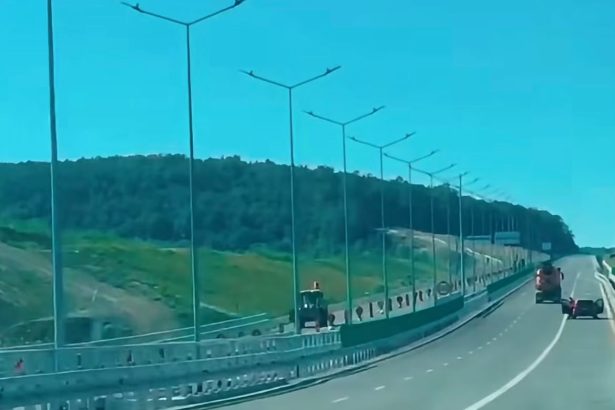 VIDEO Ursii pe santierul autostrazii Dealul Zimbor explozibil Cat de dificile au fost lucrarile pe tronsonul Zimbor Poarta Salajului