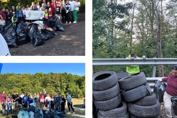 90 de voluntari au curățat Meseșul. Sute de saci de gunoaie strânse într-o zi