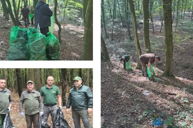 Pădurarii și voluntarii au adunat o tonă de gunoi din pădurile Sălajului