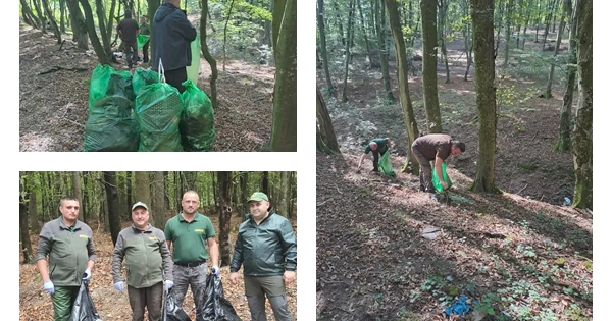 Pădurarii și voluntarii au adunat o tonă de gunoi din pădurile Sălajului